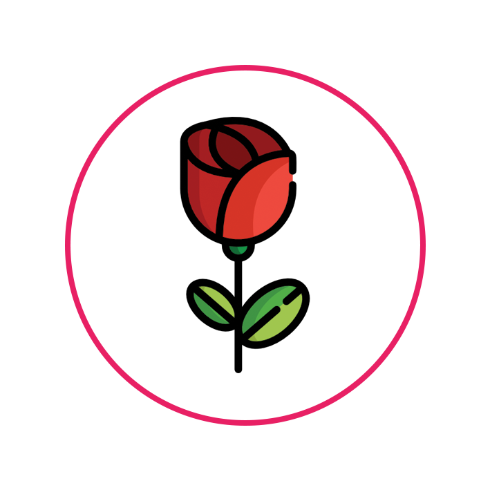 گل شاخه‌ای